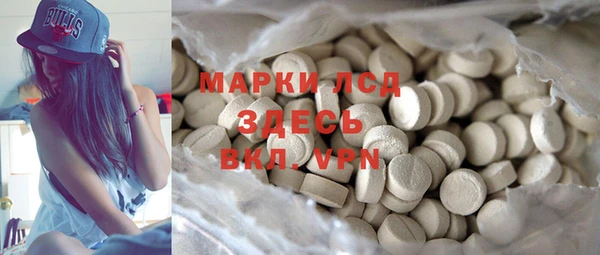 spice Богородицк