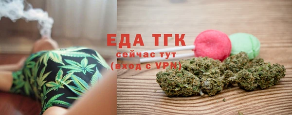 spice Богородицк