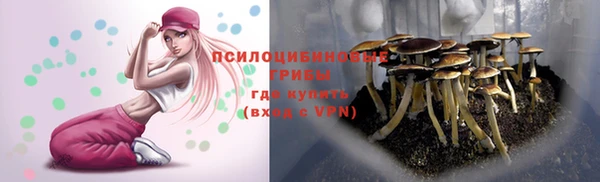 MESCALINE Богородск
