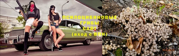 мет Белокуриха