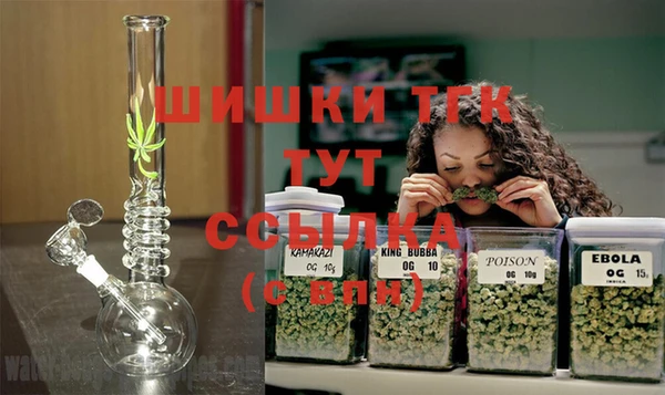 стафф Богданович