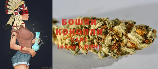 стафф Богданович