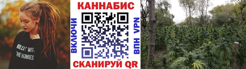 Шишки марихуана конопля  Дзержинский 